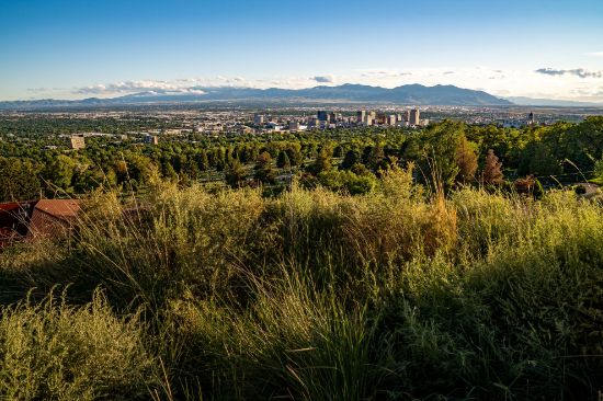 Picture of CCIP Level 2 Course SLC or St. George Course (Option B) 