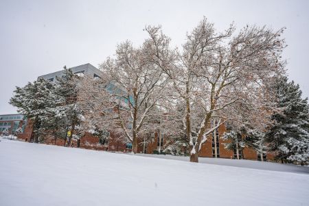 Picture for category Shadowing