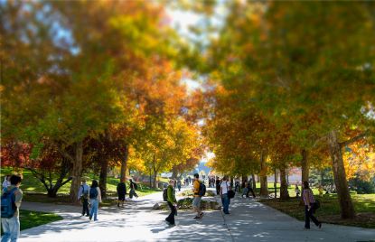 Picture of The Utah END Institute Tuition