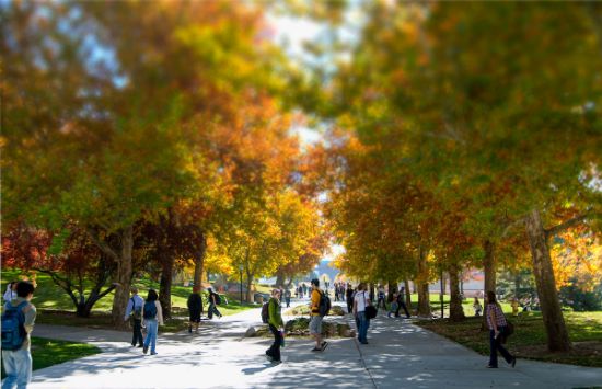 Picture of The Utah END Institute Tuition