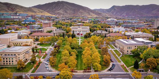 Picture of CCIP Level 1 Virtual Course (Option A) March 20-21, 2026