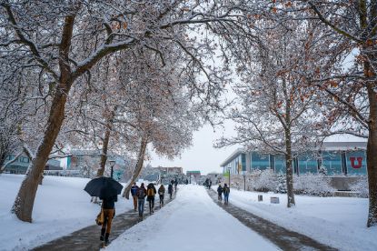 Picture of DNP Intent to Enroll Fee 