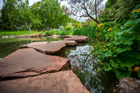 Picture for category Trauma Outreach Development 