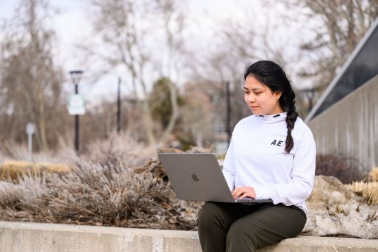Picture of Online Attendee Registration - Utah Regional Stroke & Neuro Rehabilitation Conference