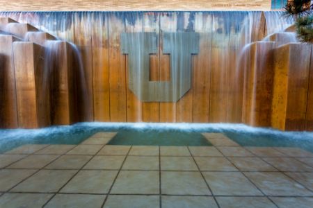 Picture for category Employee