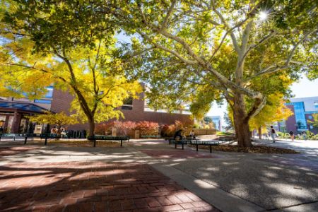 Picture for category 2026 Athlete Health & Performance Symposium Sponsorship