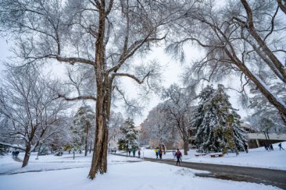 Picture of UofU Alumni / APP's Registration - Utah Winter Meeting