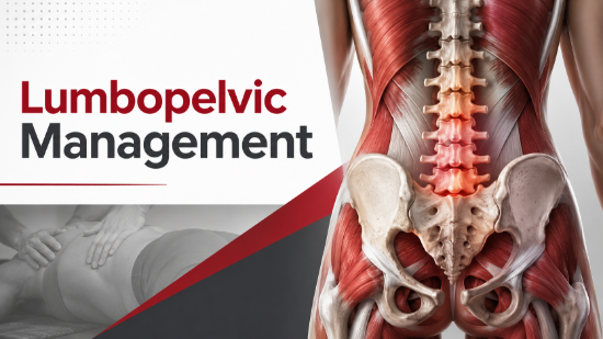 Picture of Lumbopelvic Management