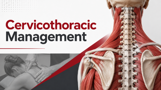Picture of Cervicothoracic Management