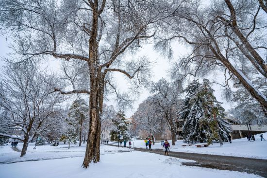Picture of Speaker / Panelist Registration - Utah Winter Meeting
